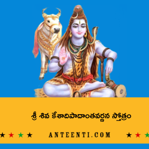 Shiva kesadi padantha varnana stotram – శ్రీ శివ కేశాదిపాదాంతవర్ణన స్తోత్రం - Telugu Lyrics