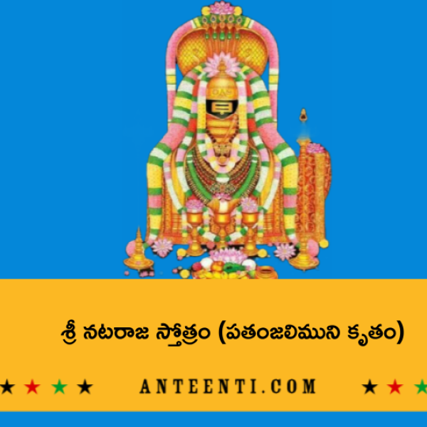 Sri Nataraja Stotram (Patanjali Krutam) – శ్రీ నటరాజ స్తోత్రం (పతంజలిముని కృతం) - Telugu Lyrics