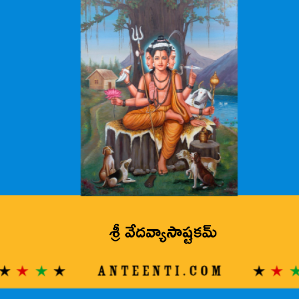 Sri Veda Vyasa Ashtakam – శ్రీ వేదవ్యాసాష్టకమ్ - Telugu Lyrics
