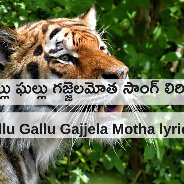 ఘల్లు ఘల్లు గజ్జెలమోత సాంగ్ లిరిక్స్